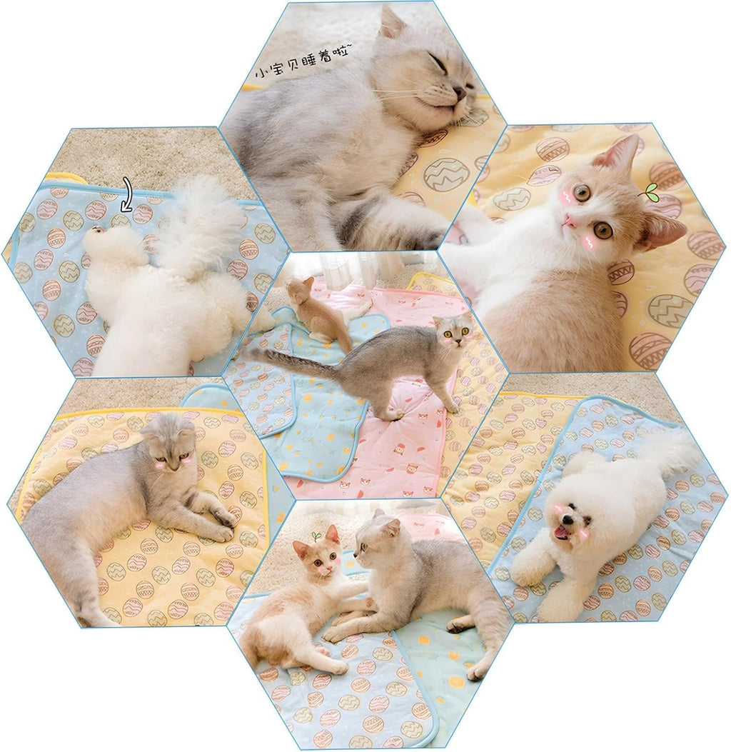 {{product_title}} - Cookies Wagging Friends Boutique