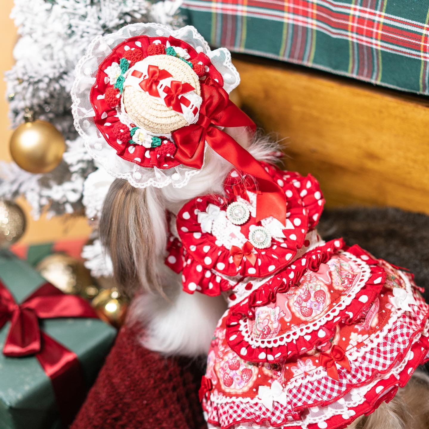 {{product_title}} - Cookies Wagging Friends Boutique