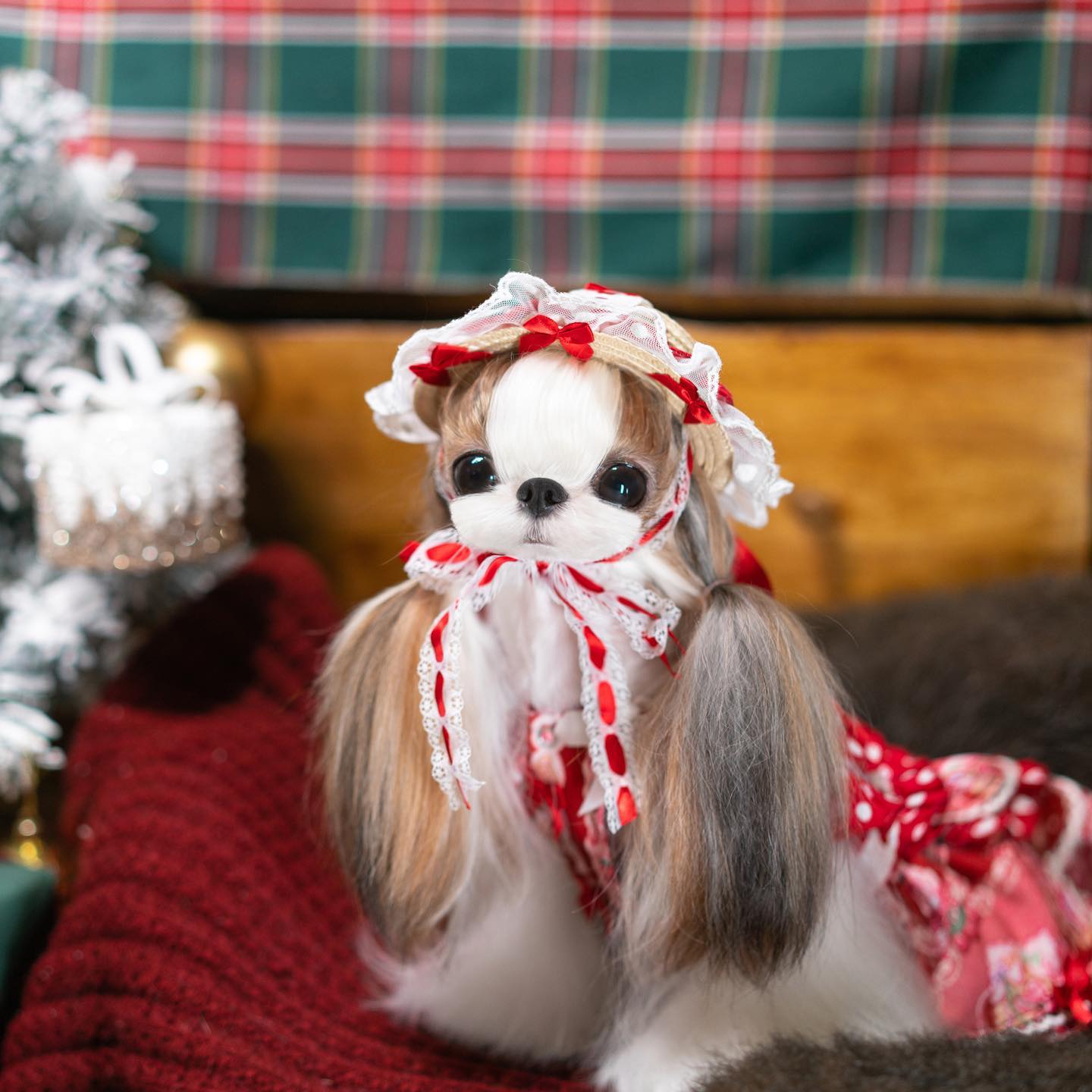 {{product_title}} - Cookies Wagging Friends Boutique