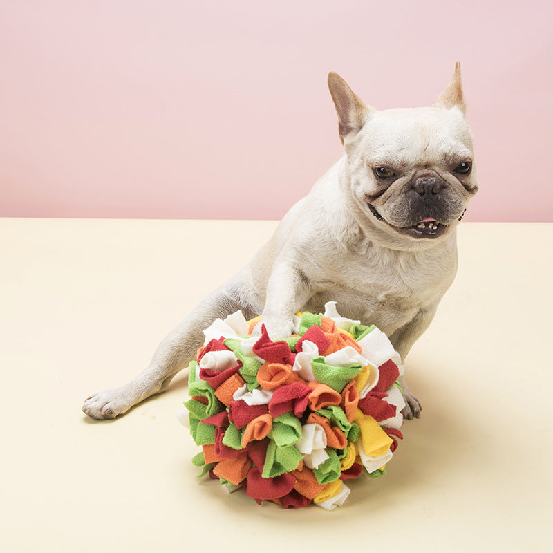 {{product_title}} - Cookies Wagging Friends Boutique