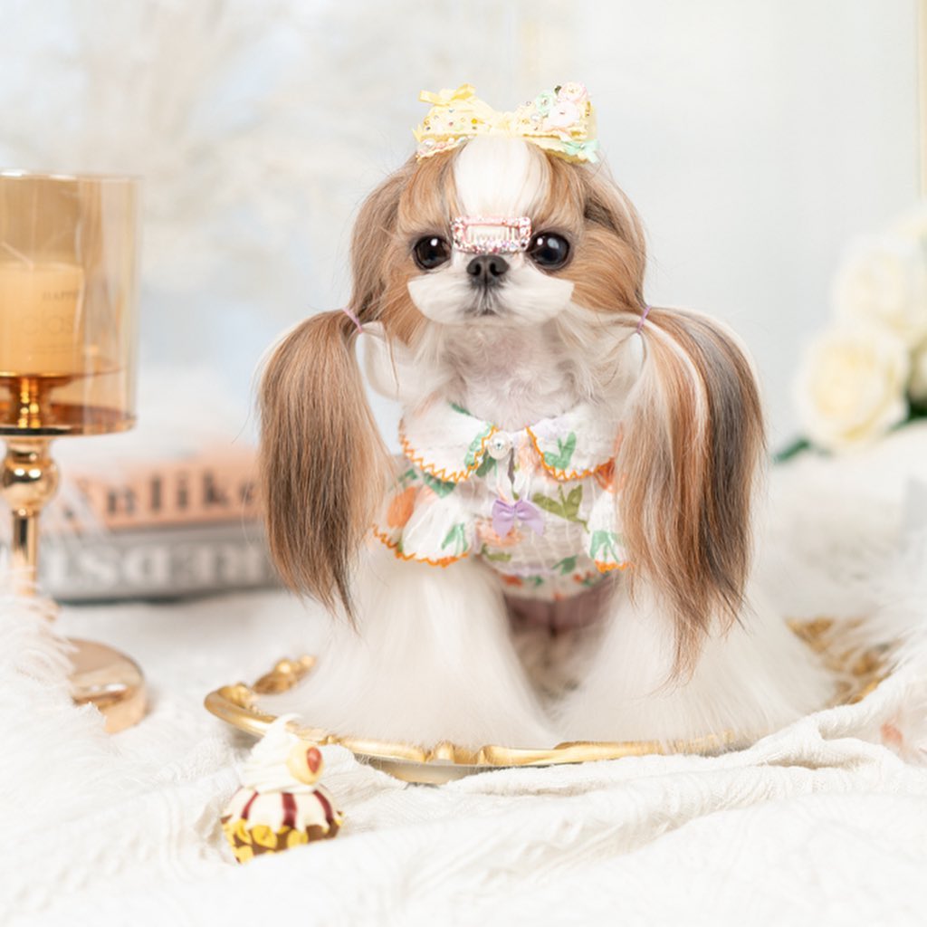 {{product_title}} - Cookies Wagging Friends Boutique