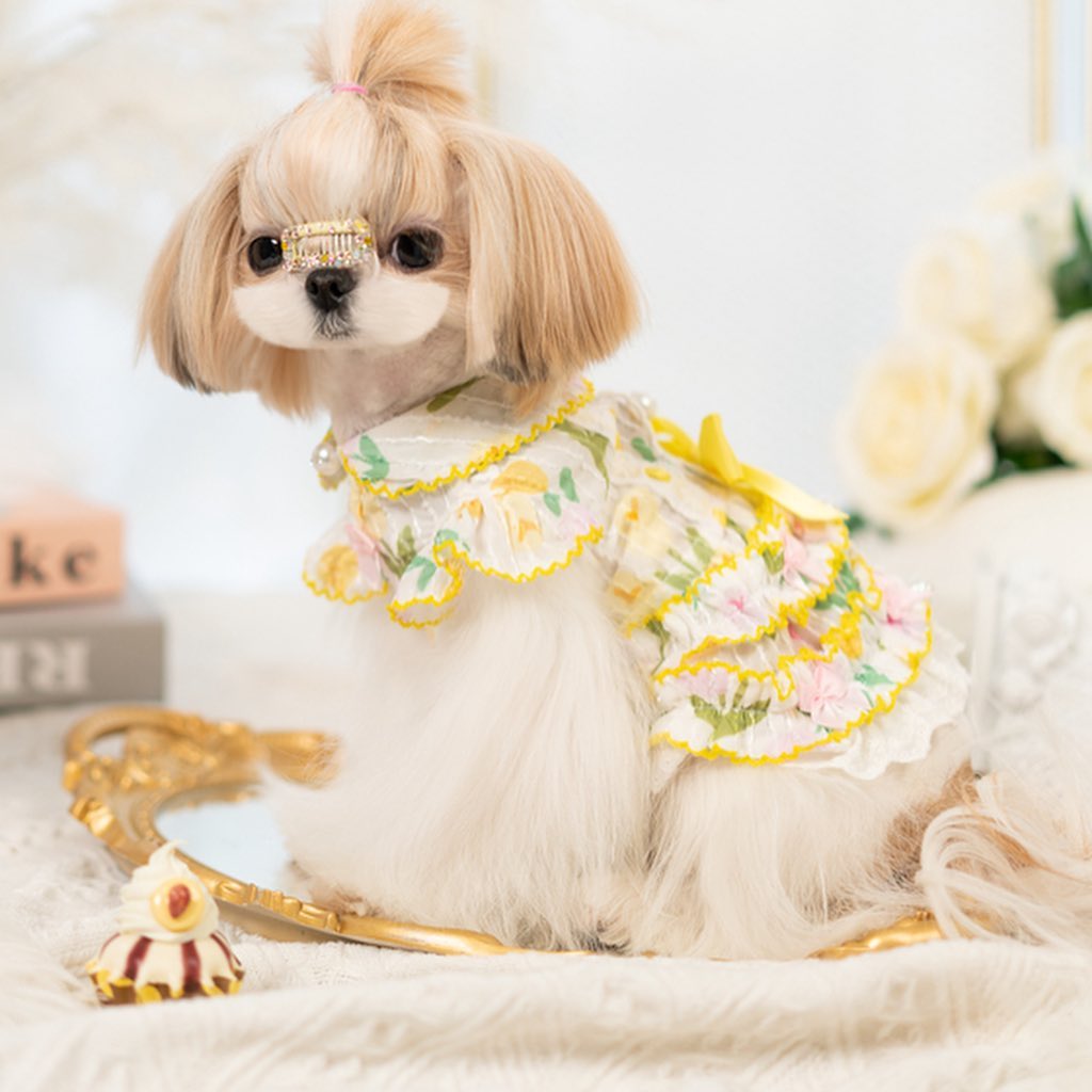 {{product_title}} - Cookies Wagging Friends Boutique