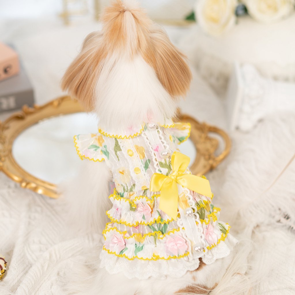 {{product_title}} - Cookies Wagging Friends Boutique
