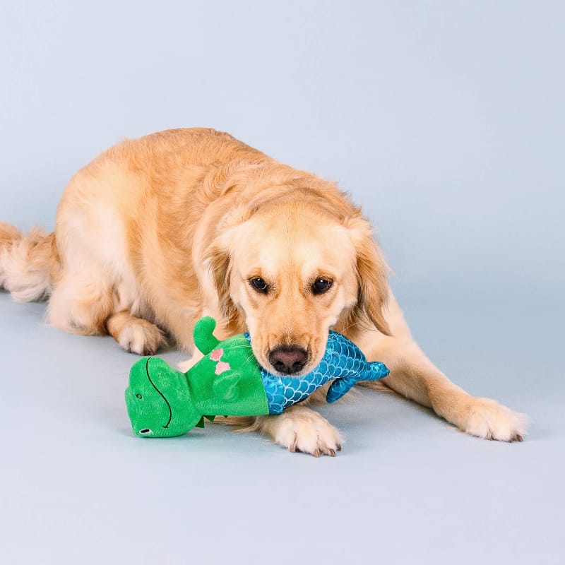 {{product_title}} - Cookies Wagging Friends Boutique