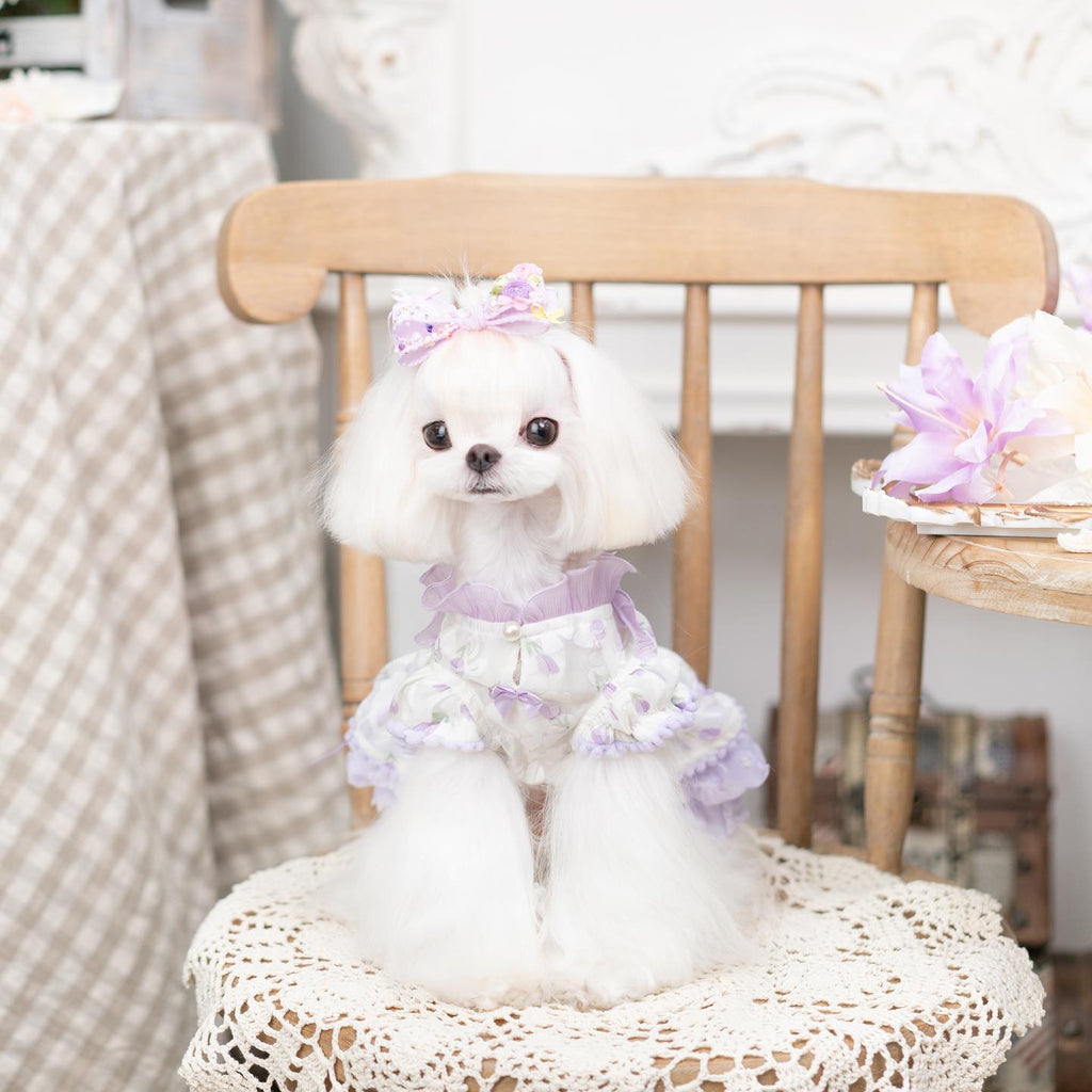 {{product_title}} - Cookies Wagging Friends Boutique