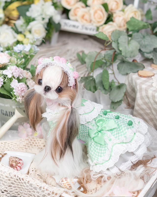 {{product_title}} - Cookies Wagging Friends Boutique