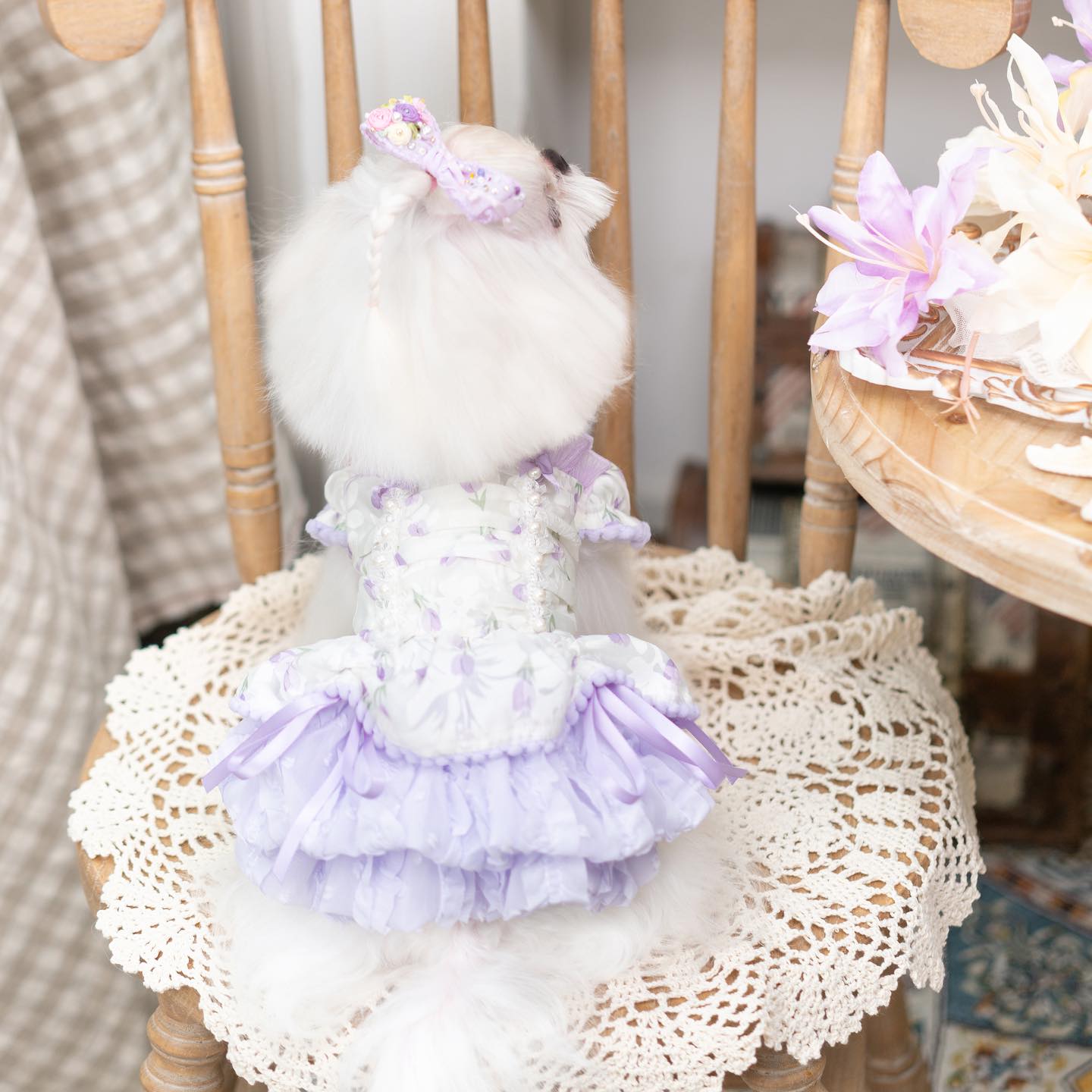 {{product_title}} - Cookies Wagging Friends Boutique