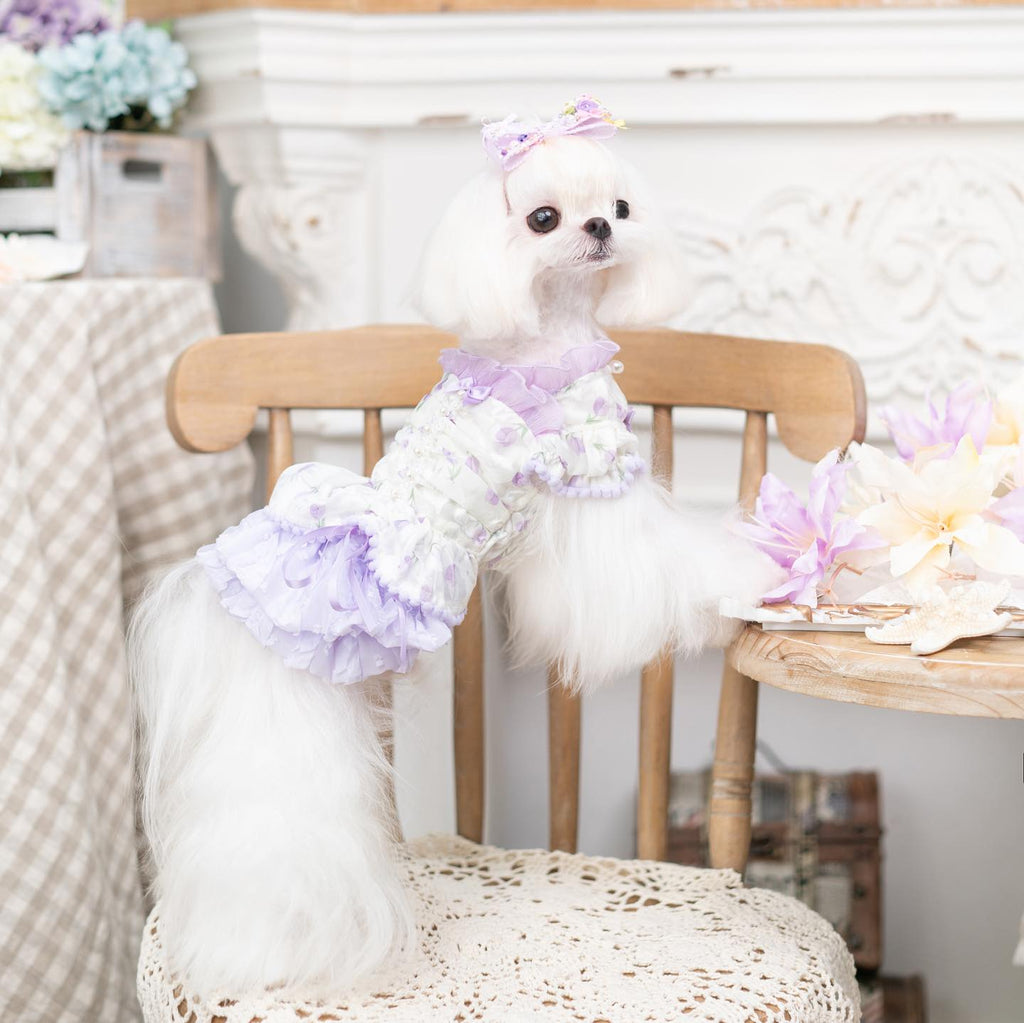 {{product_title}} - Cookies Wagging Friends Boutique