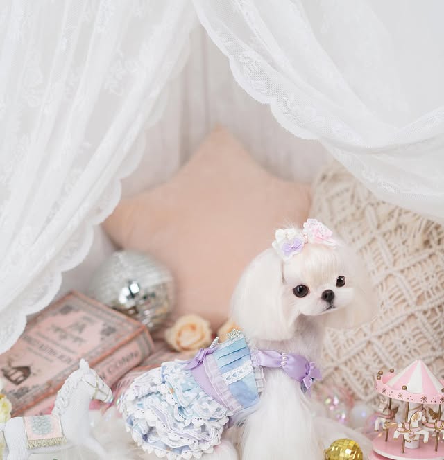 {{product_title}} - Cookies Wagging Friends Boutique
