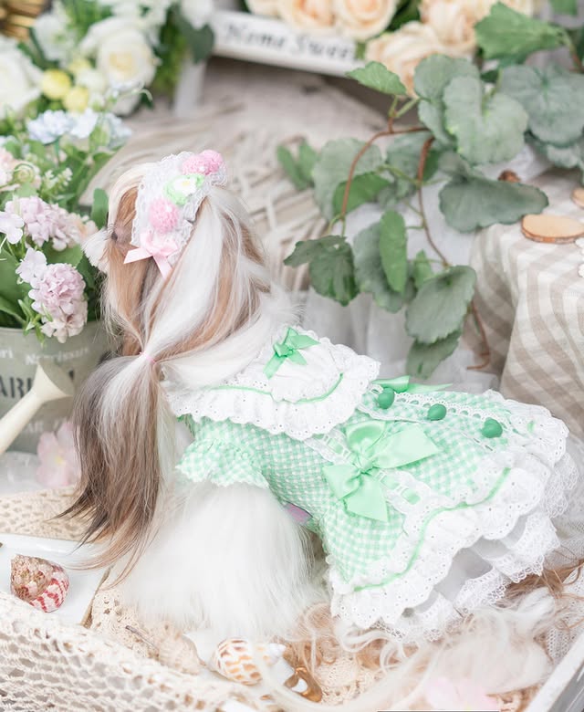 {{product_title}} - Cookies Wagging Friends Boutique
