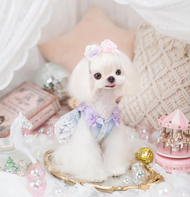 {{product_title}} - Cookies Wagging Friends Boutique
