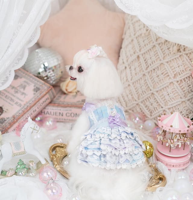 {{product_title}} - Cookies Wagging Friends Boutique