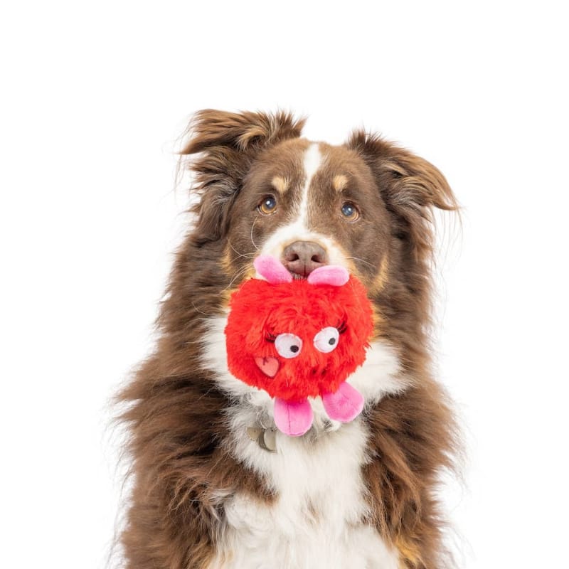 {{product_title}} - Cookies Wagging Friends Boutique