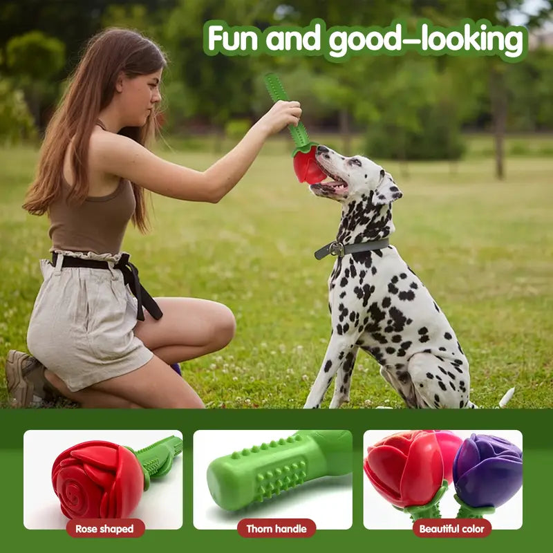{{product_title}} - Cookies Wagging Friends Boutique