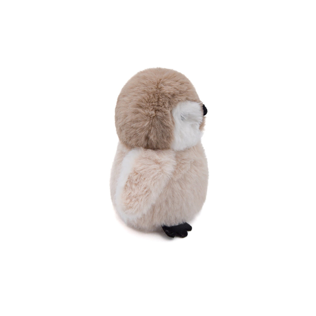 {{product_title}} - Cookies Wagging Friends Boutique