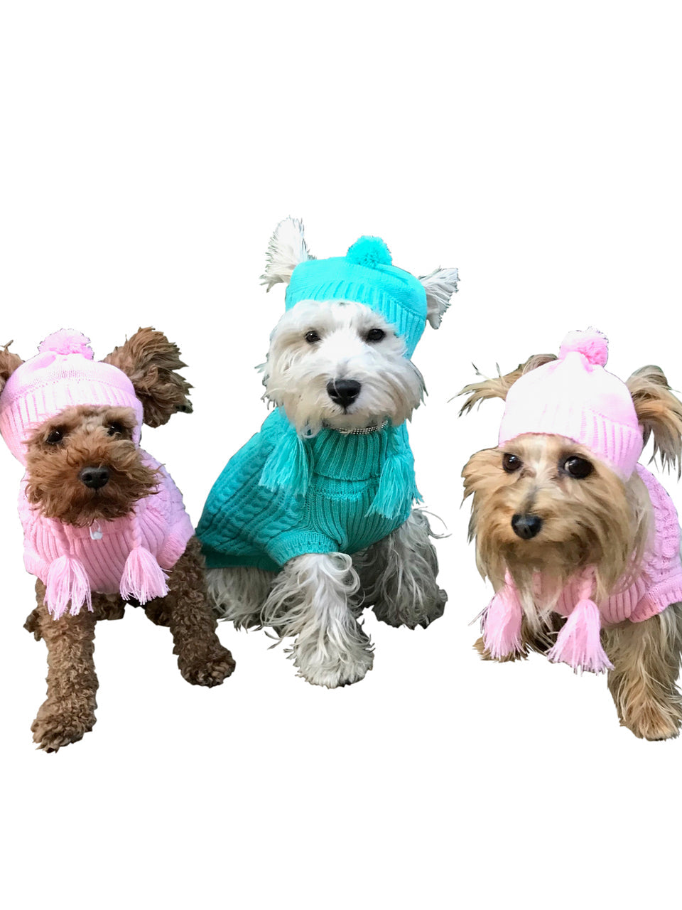 {{product_title}} - Cookies Wagging Friends Boutique