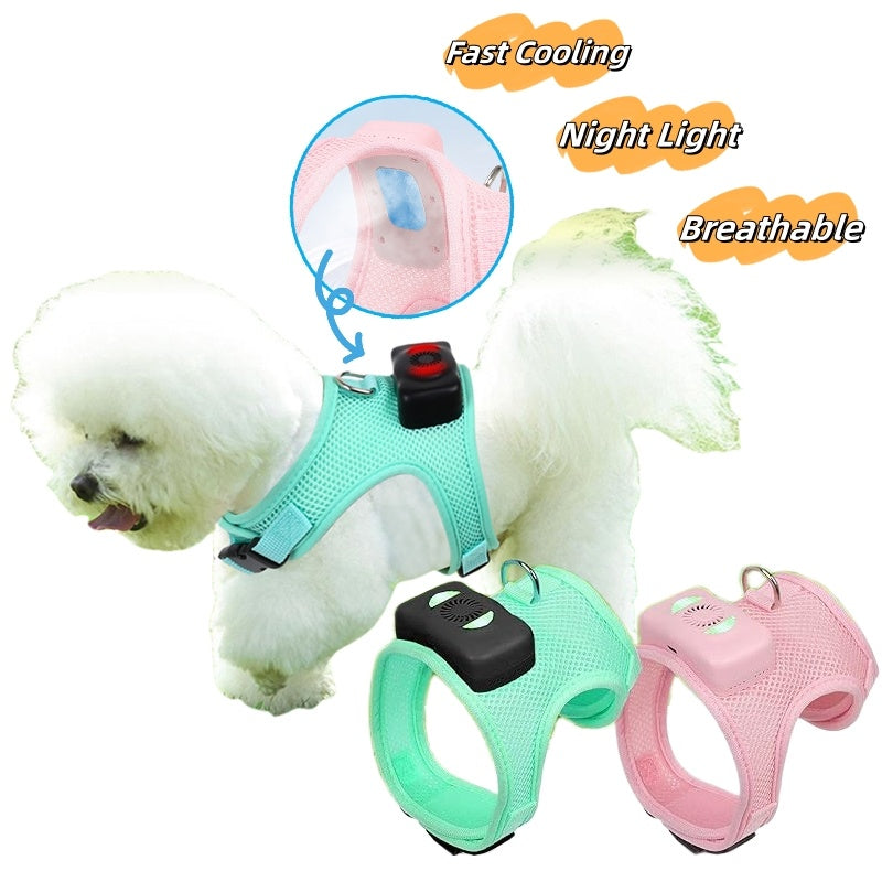 {{product_title}} - Cookies Wagging Friends Boutique