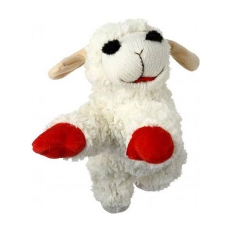 {{product_title}} - Cookies Wagging Friends Boutique