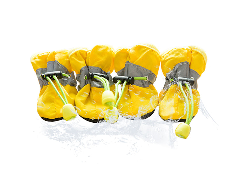 {{product_title}} - Cookies Wagging Friends Boutique