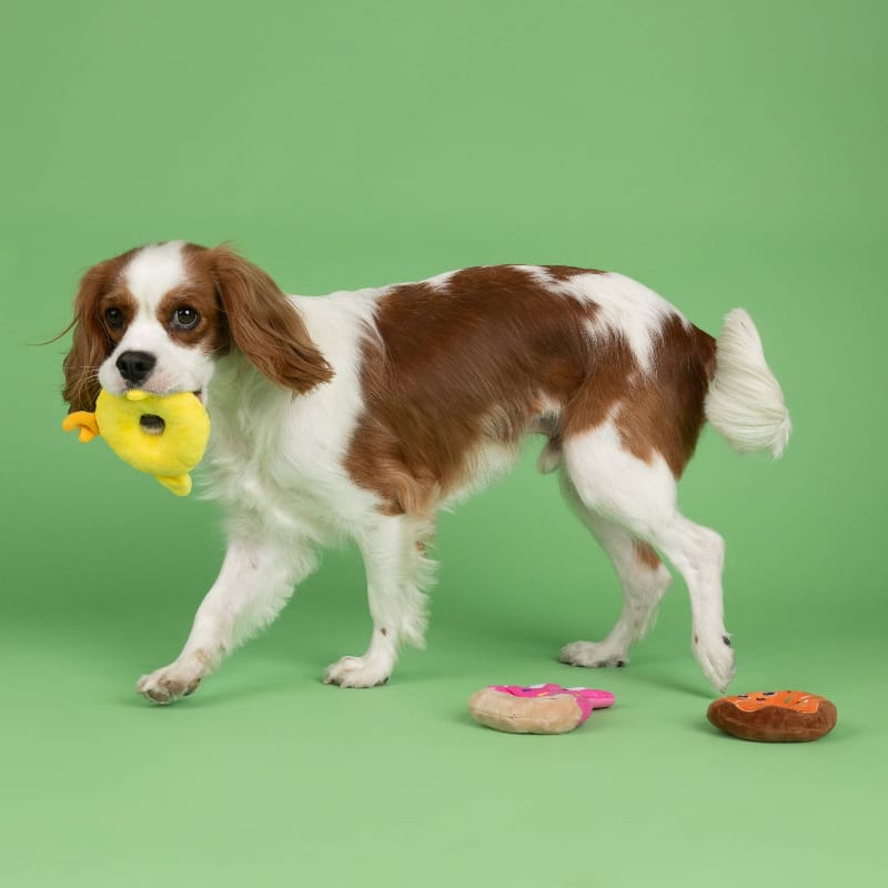 {{product_title}} - Cookies Wagging Friends Boutique
