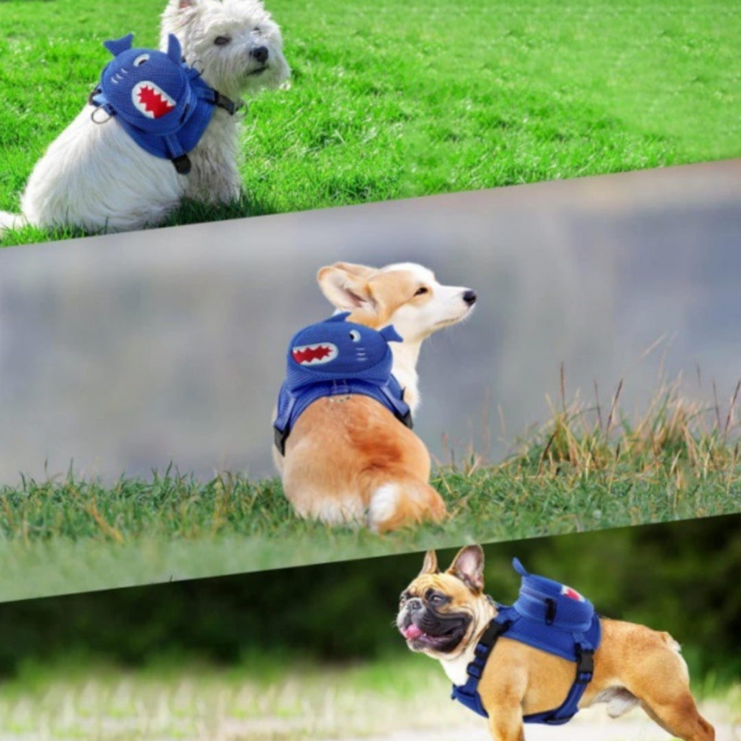 {{product_title}} - Cookies Wagging Friends Boutique