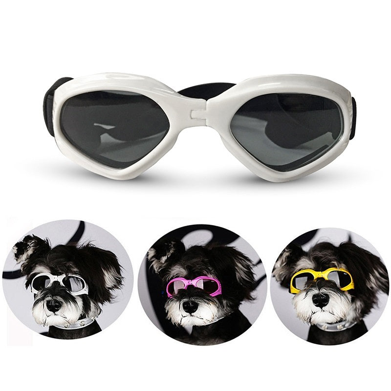 {{product_title}} - Cookies Wagging Friends Boutique
