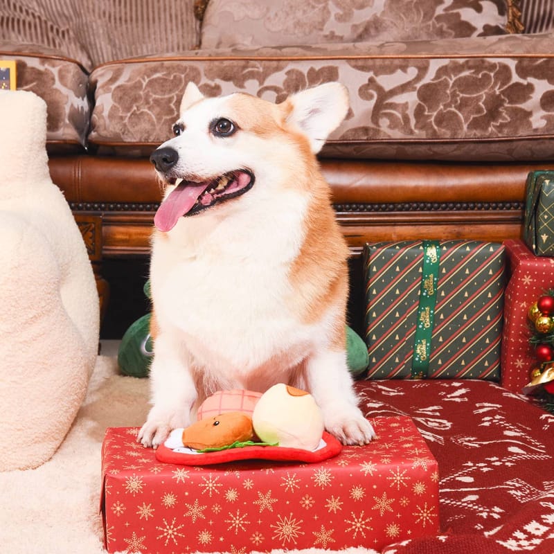 {{product_title}} - Cookies Wagging Friends Boutique