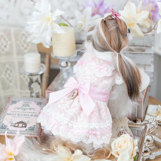 {{product_title}} - Cookies Wagging Friends Boutique