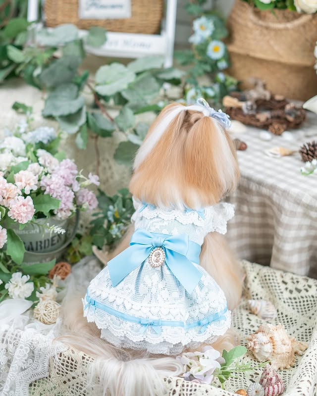{{product_title}} - Cookies Wagging Friends Boutique
