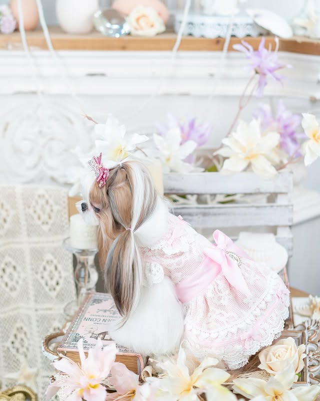 {{product_title}} - Cookies Wagging Friends Boutique
