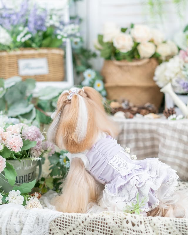 {{product_title}} - Cookies Wagging Friends Boutique