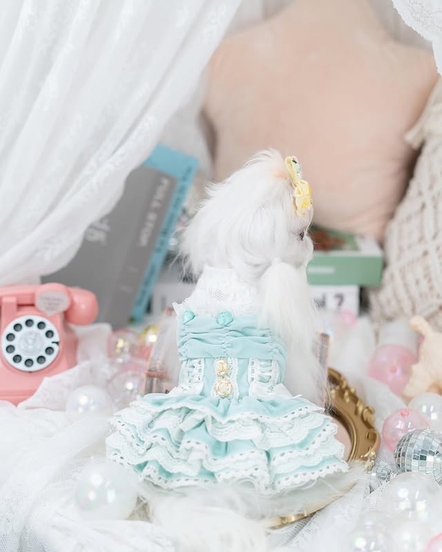 {{product_title}} - Cookies Wagging Friends Boutique