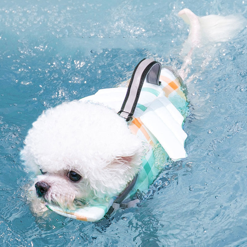 {{product_title}} - Cookies Wagging Friends Boutique