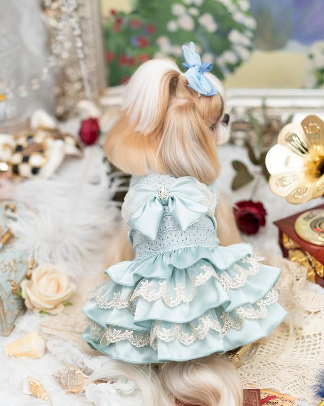 {{product_title}} - Cookies Wagging Friends Boutique