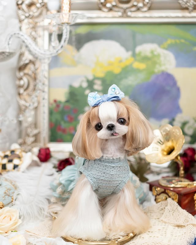 {{product_title}} - Cookies Wagging Friends Boutique