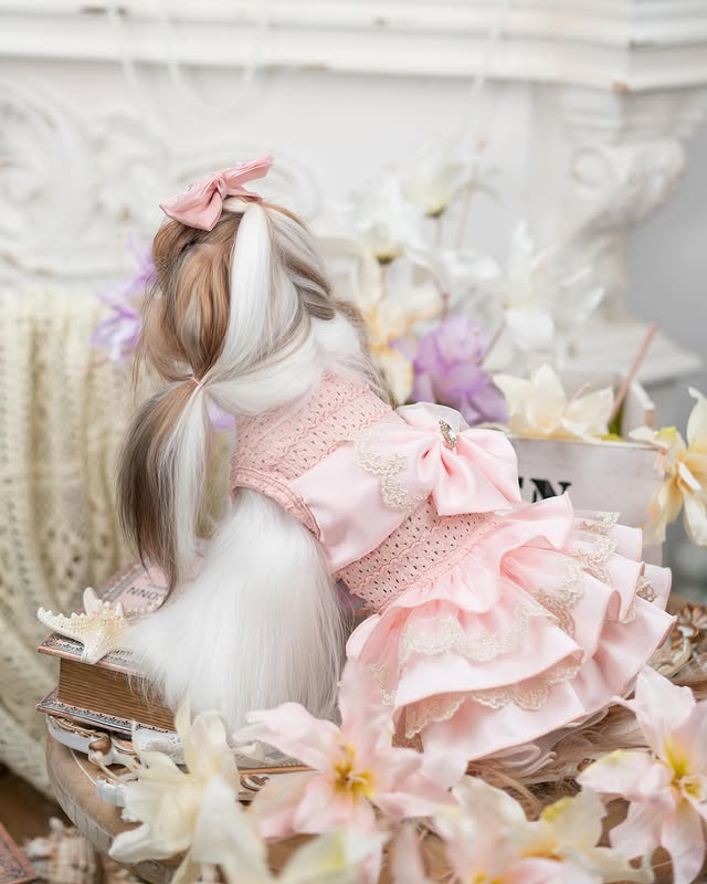 {{product_title}} - Cookies Wagging Friends Boutique