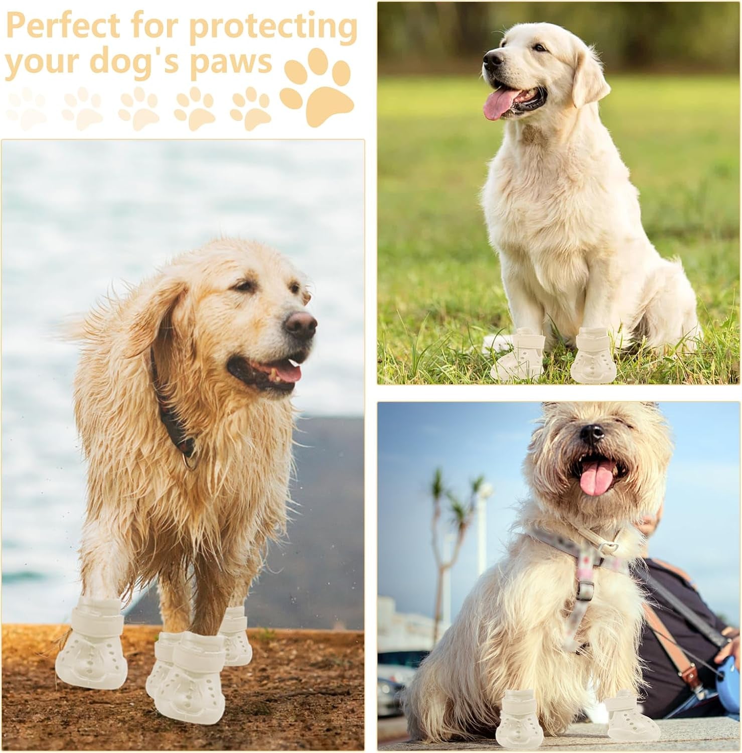 {{product_title}} - Cookies Wagging Friends Boutique