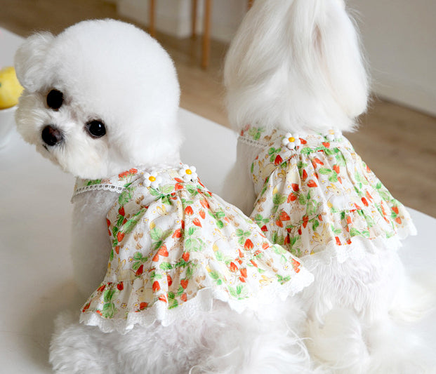 {{product_title}} - Cookies Wagging Friends Boutique