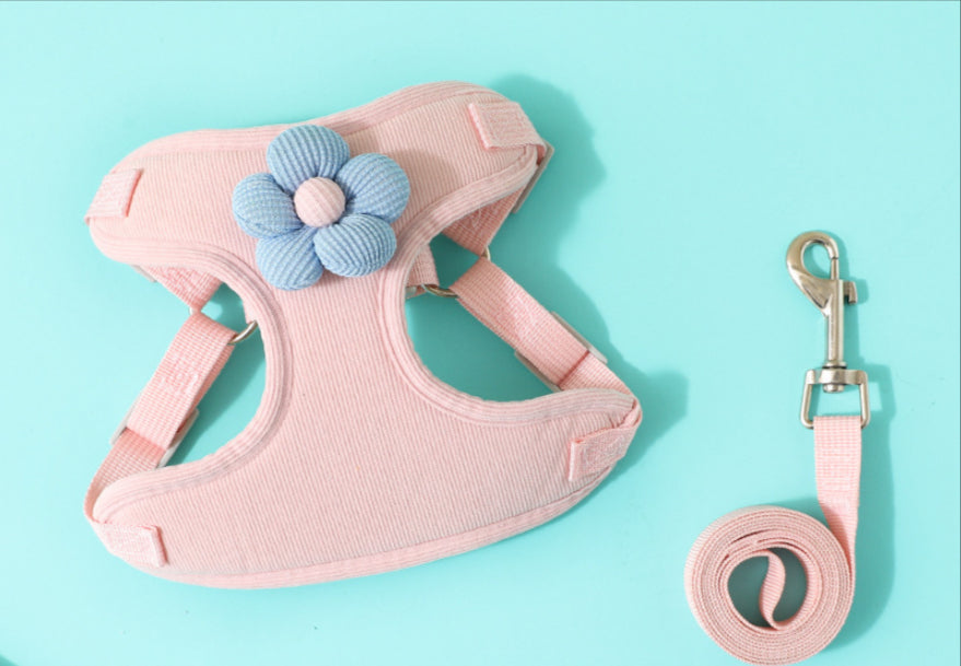 {{product_title}} - Cookies Wagging Friends Boutique
