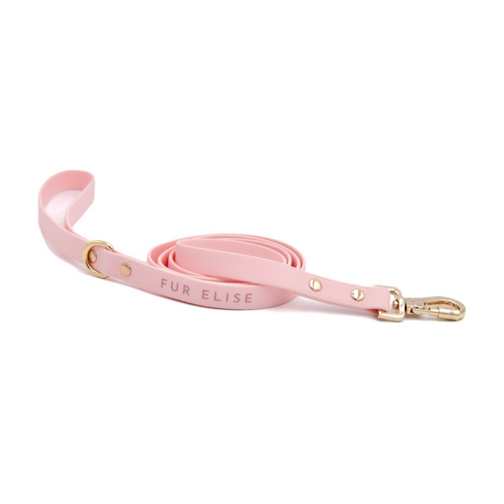 {{product_title}} - Cookies Wagging Friends Boutique