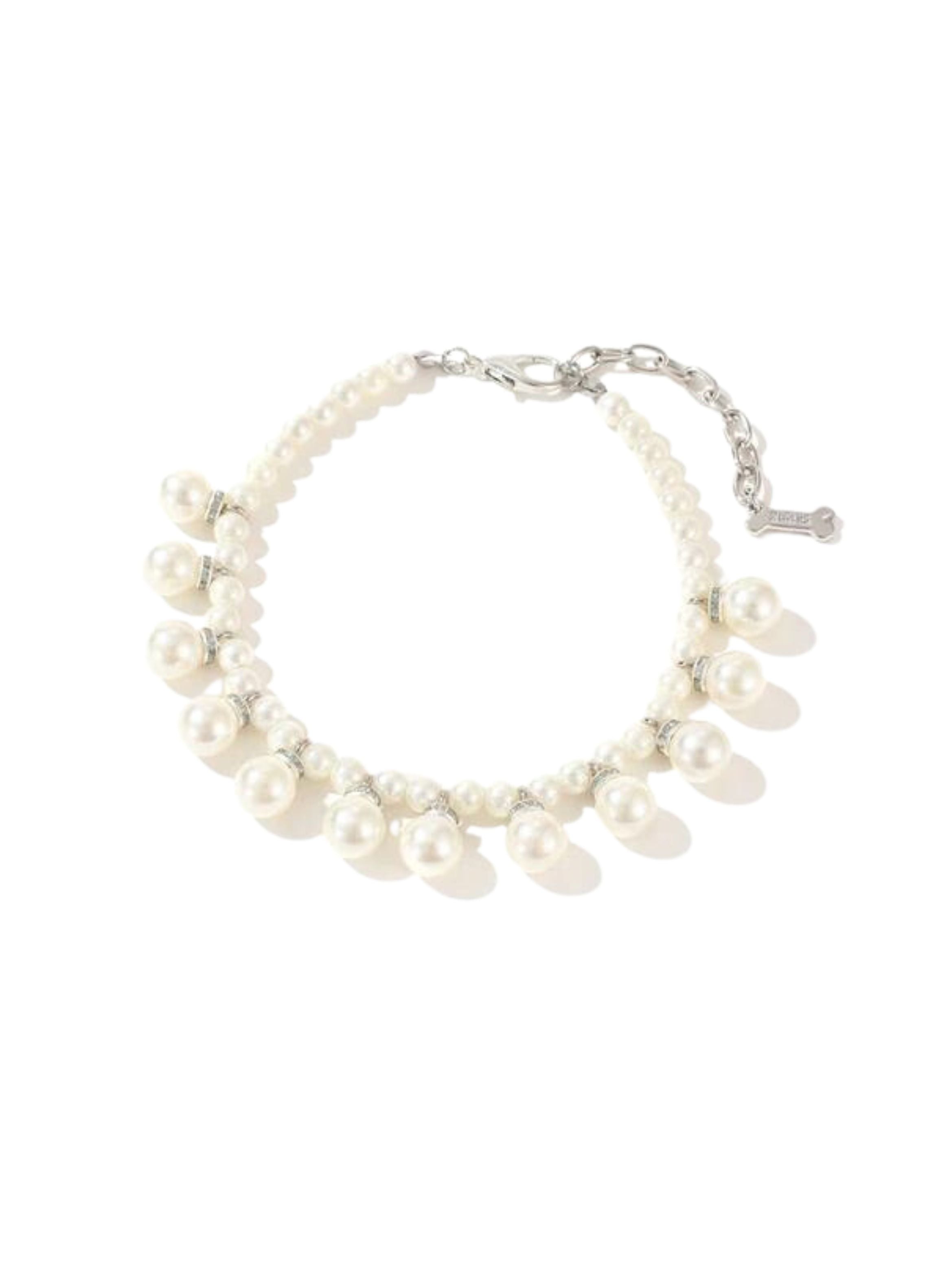 {{product_title}} - Cookies Wagging Friends Boutique