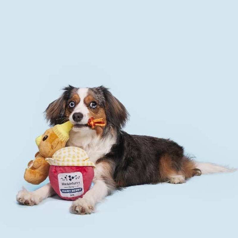 {{product_title}} - Cookies Wagging Friends Boutique