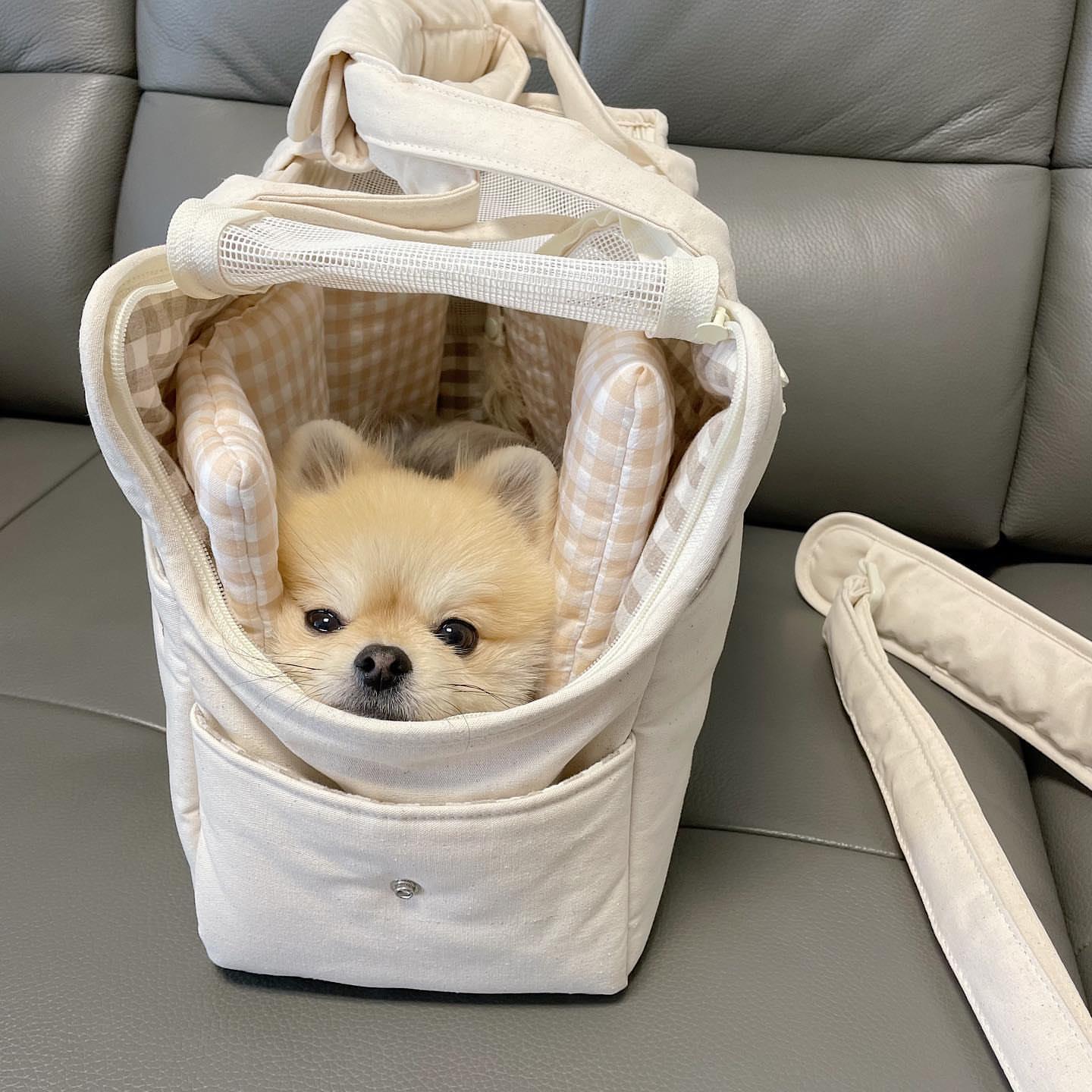 {{product_title}} - Cookies Wagging Friends Boutique