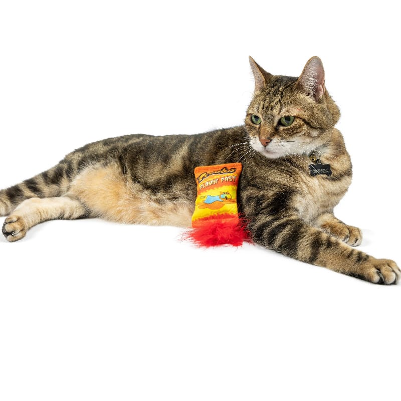 {{product_title}} - Cookies Wagging Friends Boutique