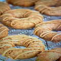 {{product_title}} - Cookies Wagging Friends Boutique
