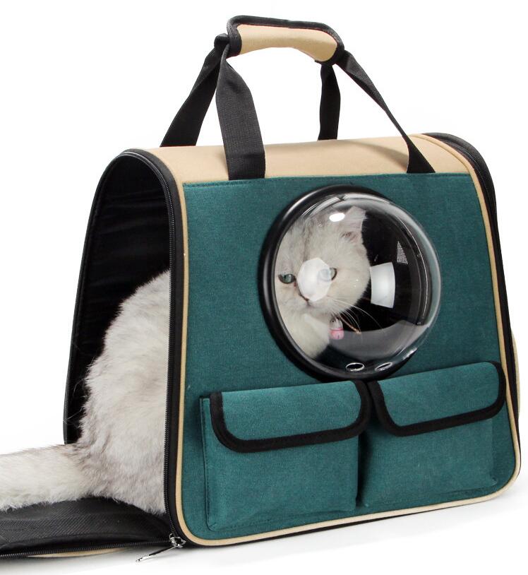 {{product_title}} - Cookies Wagging Friends Boutique
