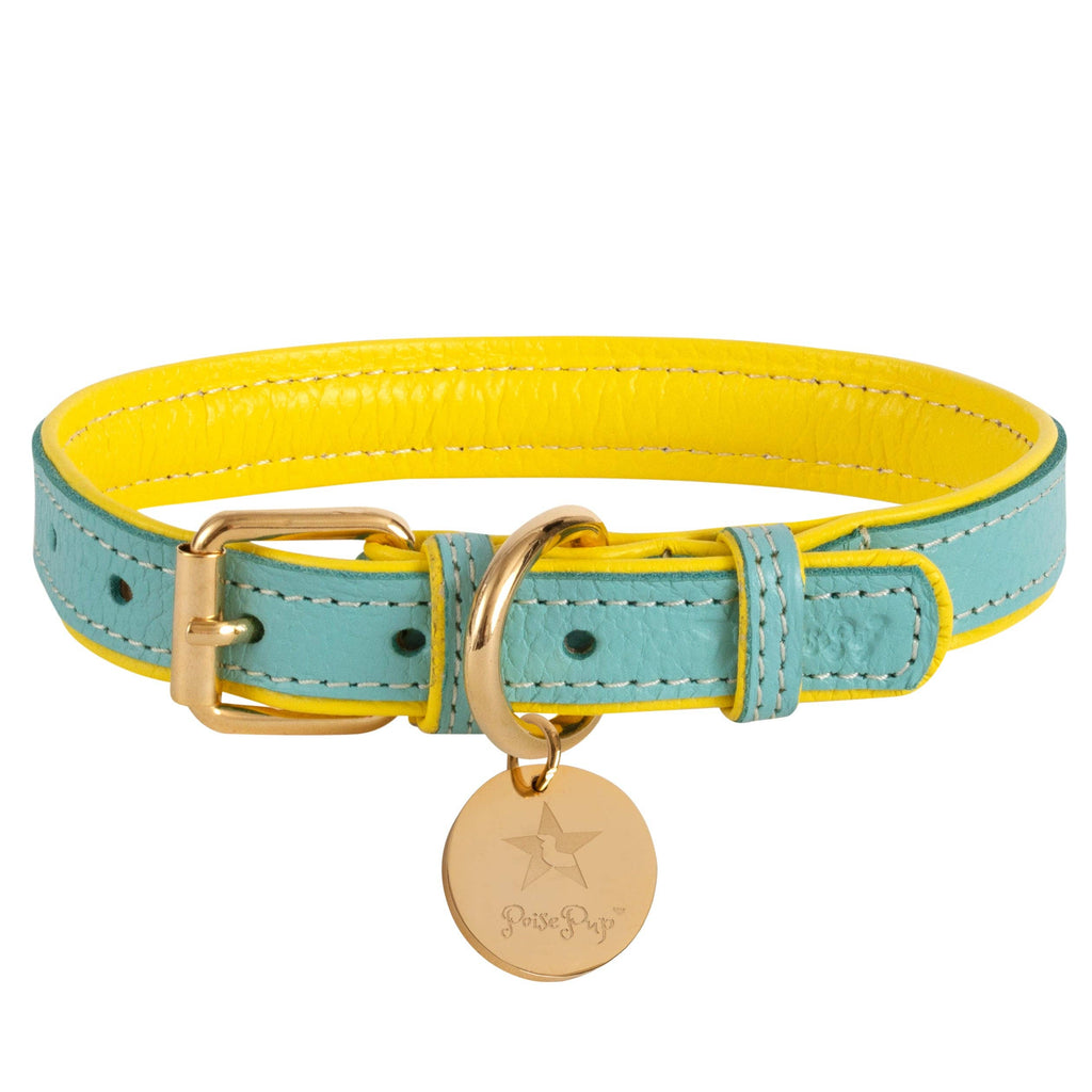 {{product_title}} - Cookies Wagging Friends Boutique