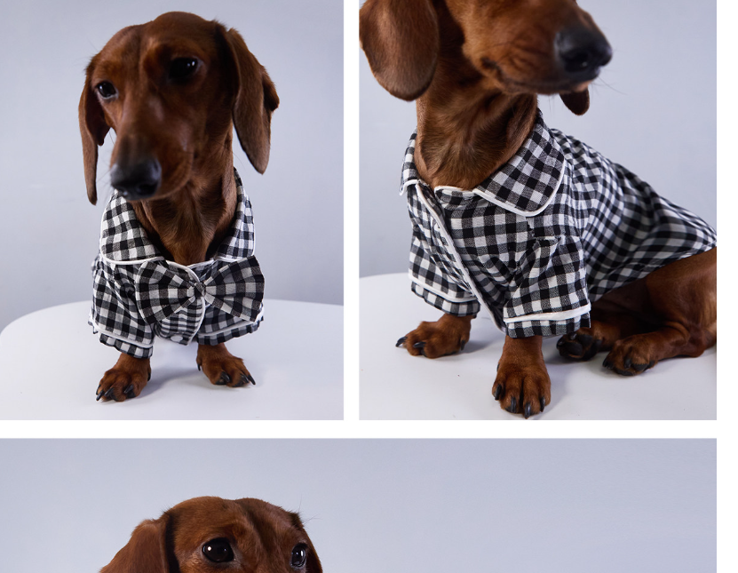 {{product_title}} - Cookies Wagging Friends Boutique