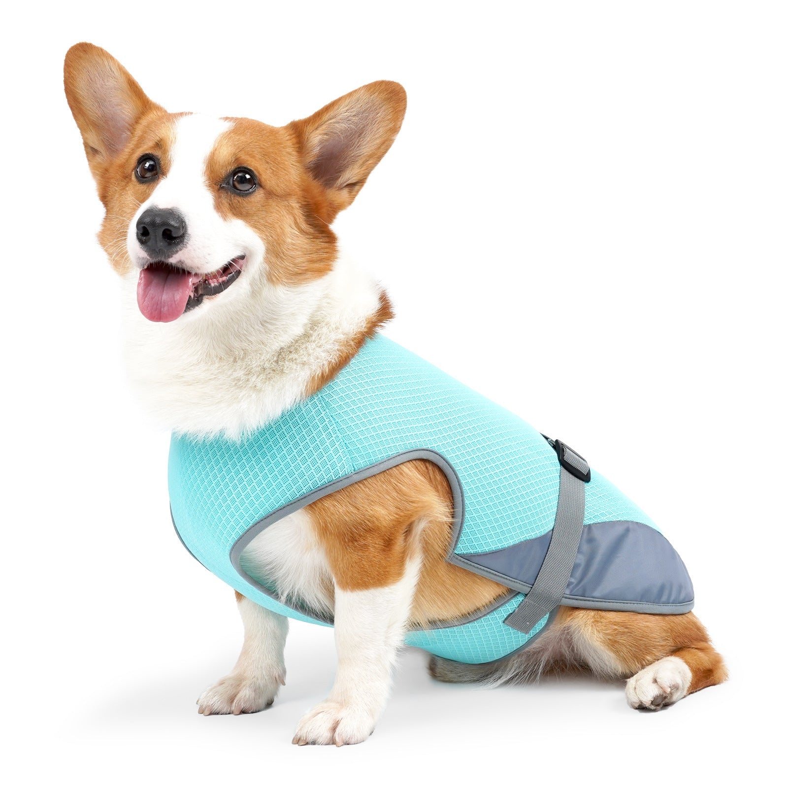 {{product_title}} - Cookies Wagging Friends Boutique