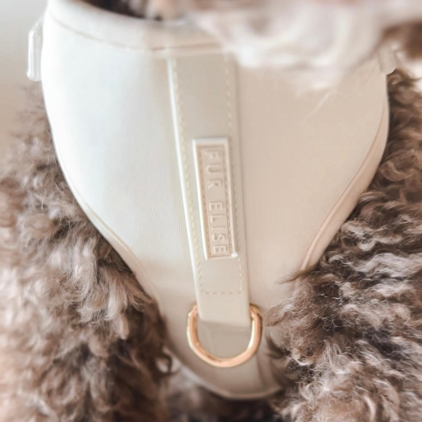 {{product_title}} - Cookies Wagging Friends Boutique